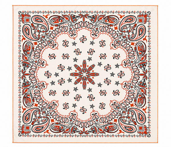 LBC Custom Paisley Adventure Bandana