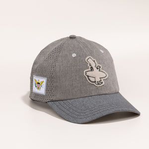 Gray cap with embroidered designs