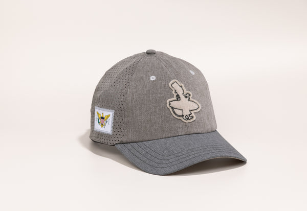 Gray cap with embroidered designs