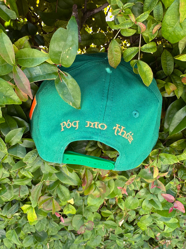 Limited Edition St. Patricks Day Hat