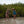 Women's Floral Racerback Tank — two women wearing Salted Caramel and Sky colorways in the water near mangroves | Lost Boy Creations Key West