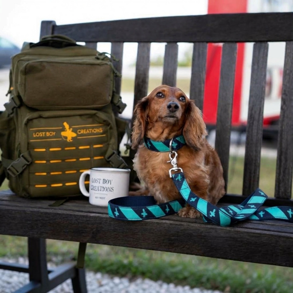 LBC “Good Boy” Collar in Navy and Aqua — in-use shot, Lost Boy logo nylon collar on dachshund at park | Lost Boy Creations Key West