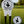 LBC Divot Tool in White/Black — lifestyle shot on golf course, tool standing upright in ground, ball marker placed to the side | Lost Boy Creations Key West