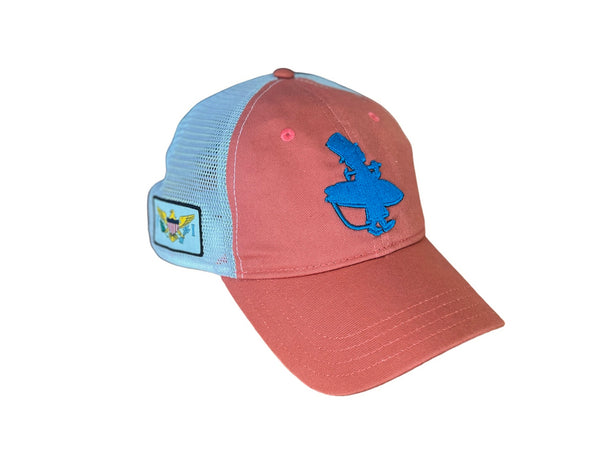 Low Pro Lid - Salmon and Blue