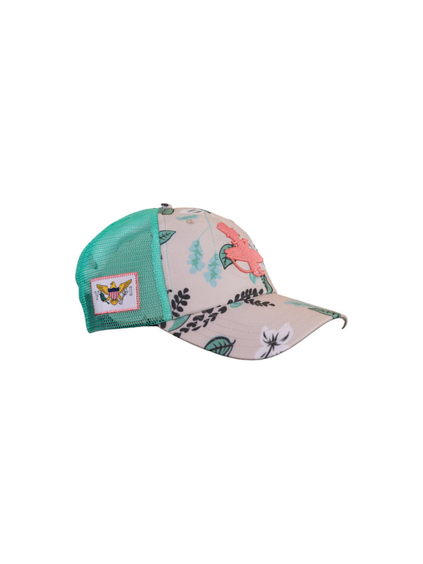 Coral Cruiser