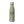 Lost Boy Water Bottle in Sage Green — back view, 16 oz insulated stainless steel | Lost Boy Creations Key West