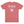 Stay Salty Shaka 2.0 Tee in Dusty Blush — back flat lay, white 