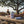 Lost Boy Koozie Floral standard can lifestyle shot held at beach picnic table at sunset with woman and ocean in background | Lost Boy Creations Key West