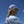 Lost Boy Logo Collectible Pin lifestyle shot pinned to side of white trucker hat worn by woman outdoors against blue sky | Lost Boy Creations Key West