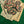 Lost Boy Creations Poker Chip in Red & Green — lifestyle shot, mixed colorway chips stacked on cash on green felt poker table | Lost Boy Creations Key West