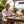 Man holding Robin's Egg low crown snapback hat seafoam at beachside table with tropical backdrop | Lost Boy Creations Key West