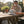 The Vanilla Ice Hat ivory structured trucker hat worn lifestyle shot, ivory colorway with icy blue embroidered Lost Boy logo | Lost Boy Creations Key West